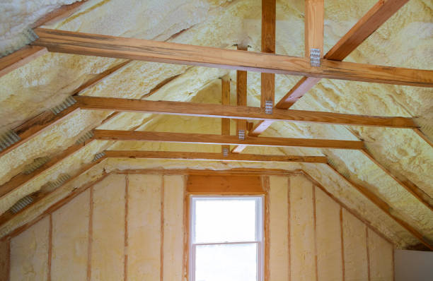 Types of Insulation We Offer in Camilla, GA