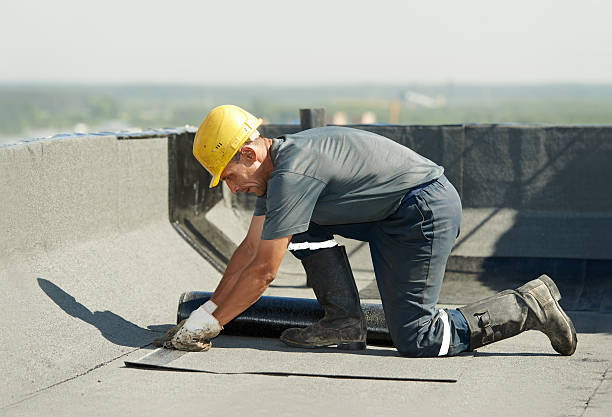 Best Geographic-Specific Insulation Services in Camilla, GA