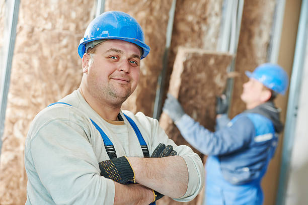 Best DIY Insulation Kits and Guidance in Camilla, GA